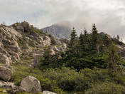 Bighorn National Forest