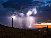 Saguaro National Park
