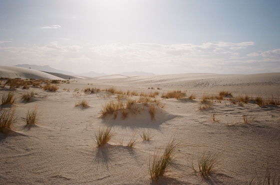 White Sands National Park