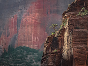 Zion National Park
