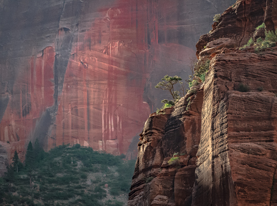 Zion National Park
