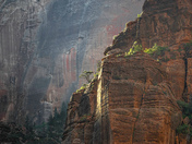 Zion National Park