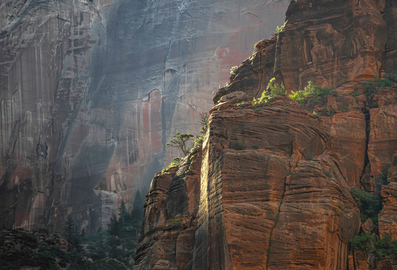 Zion National Park