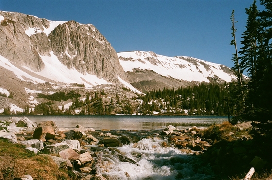 Medicine Bow National Forest
