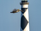Cape Lookout National Seashore