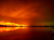 Croatan National Forest