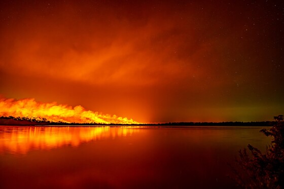 Croatan National Forest