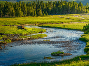 Yellowstone National Park