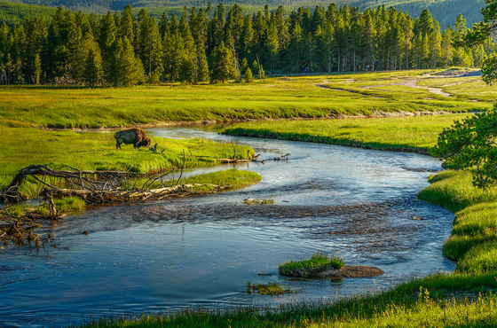 Yellowstone National Park