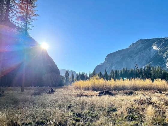 Yosemite National Park
