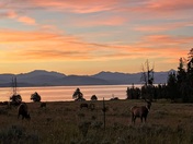 Lake Yellowstone