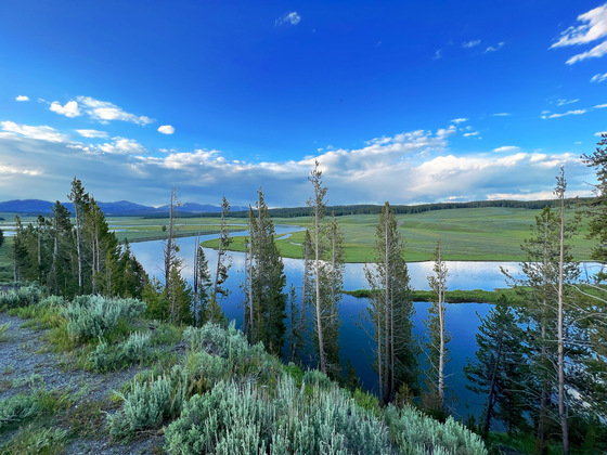 Yellowstone National Park