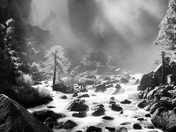Yosemite National Park