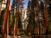 Yosemite National Park