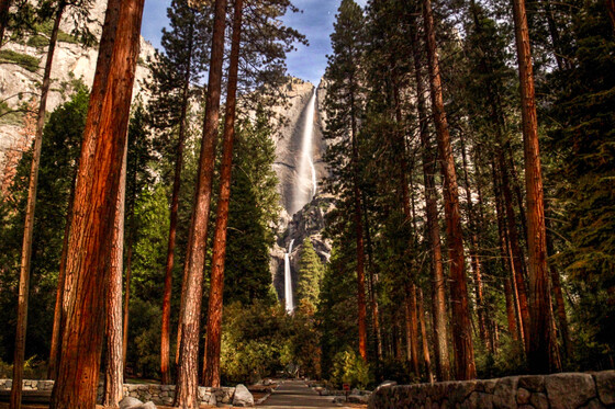 Yosemite National Park