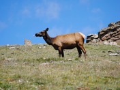 Rocky Mountain National Park