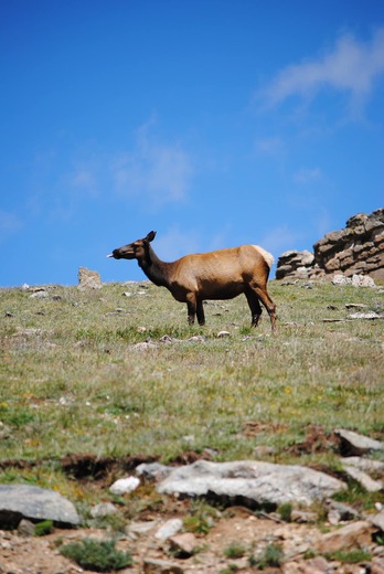 Rocky Mountain National Park