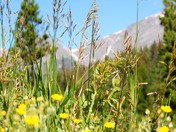 Rocky Mountain National Park