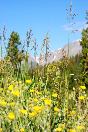 Rocky Mountain National Park