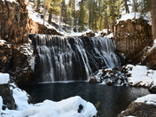 Shasta-Trinity National Forest