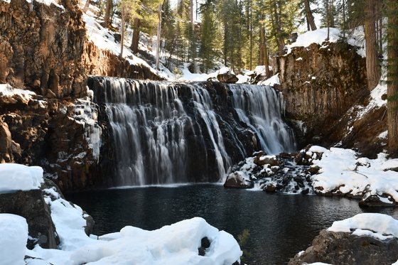 Shasta-Trinity National Forest