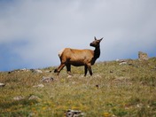 Rocky Mountain National  Park