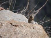 Rocky Mountain National Park
