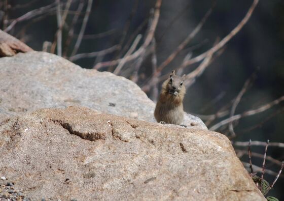 Rocky Mountain National Park