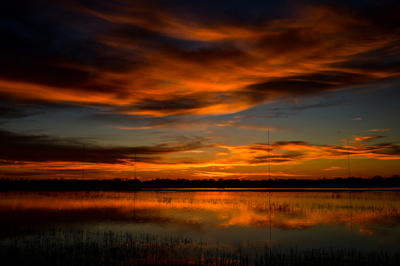 Cosumnes River Preserve