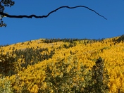 Inner Basin Trail