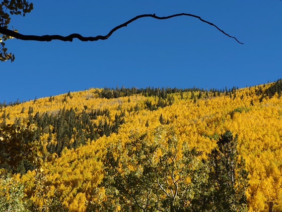 Inner Basin Trail