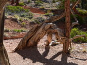 Bryce Canyon National Park