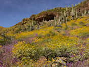 Tonto National Monument
