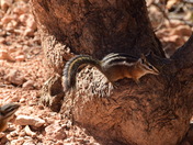Bryce Canyon National Park