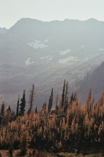 North Cascades National Park