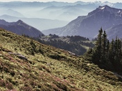 Mount Rainier National Park