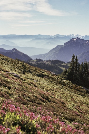 Mount Rainier National Park