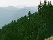 Mount Baker-Snoqualmie National Forest