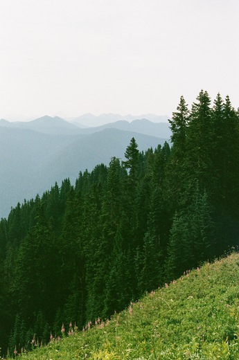 Mount Baker-Snoqualmie National Forest