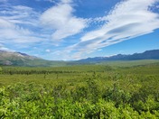 Denali National Park 