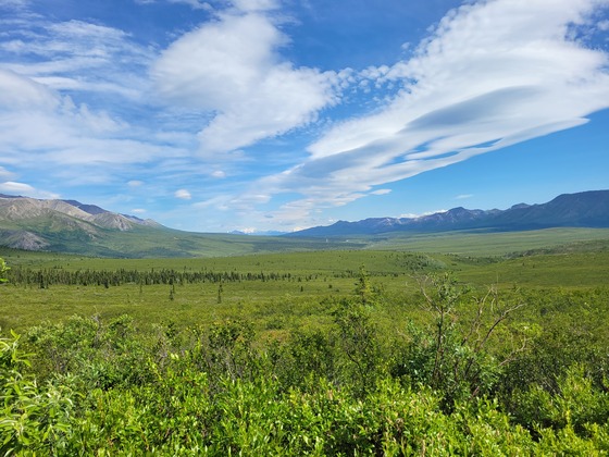 Denali National Park 