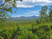 Denali National Park