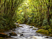 Great Smoky Mountains National Park
