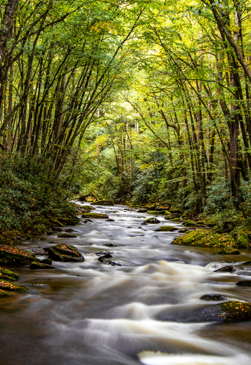 Great Smoky Mountains National Park