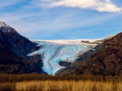 Exit Glacier