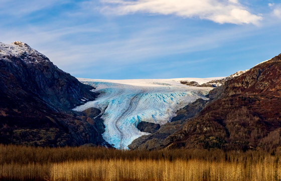 Exit Glacier