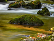 Great Smoky Mountains NP