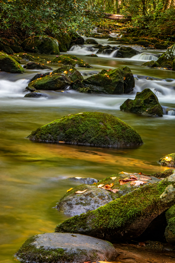 Great Smoky Mountains NP