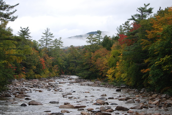 White Mountains National Forest