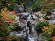 White Mountains National Forest 